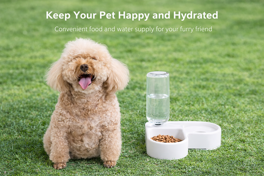 AquaBite-pet water bowl
